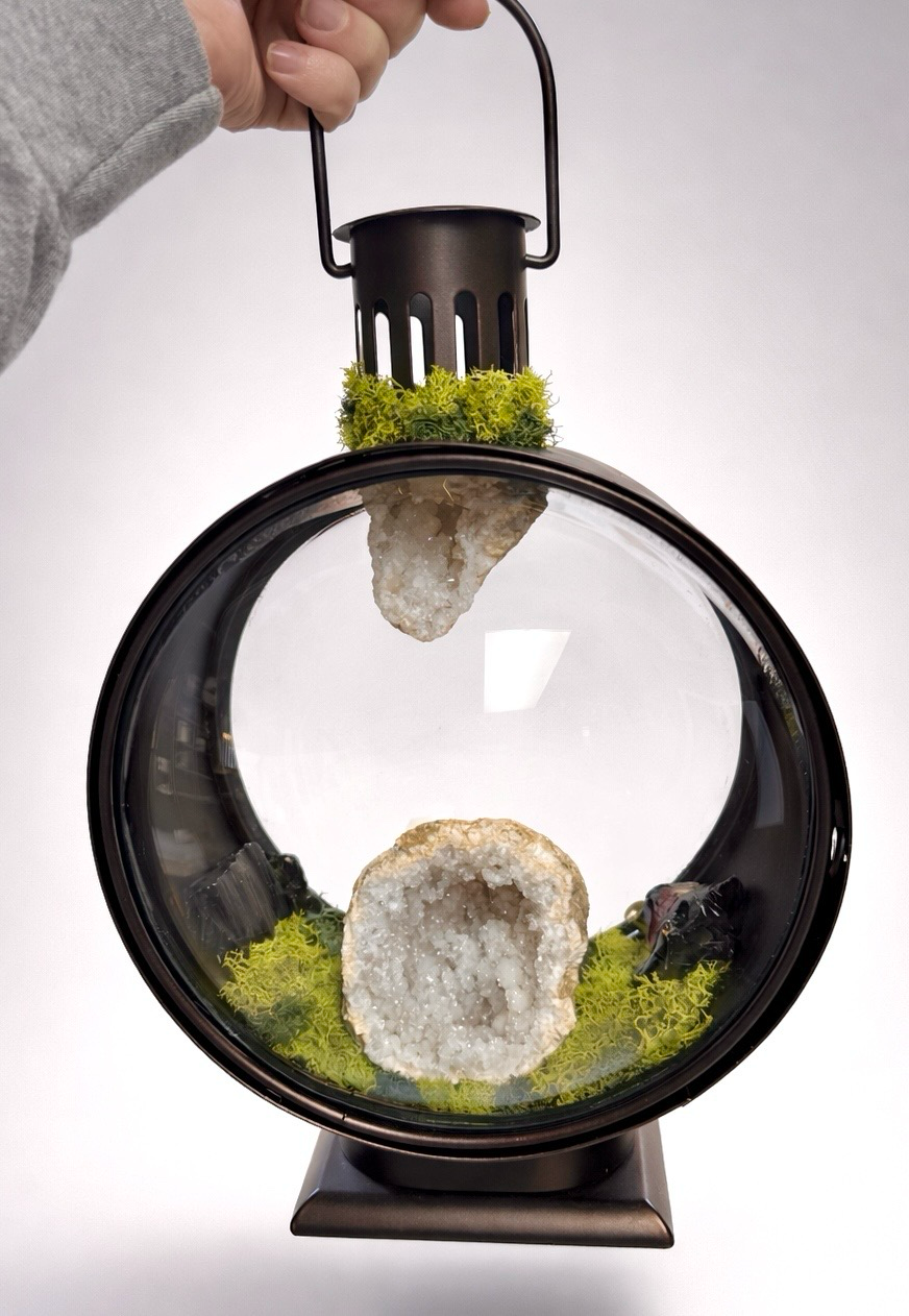 The Enchanted Bubble