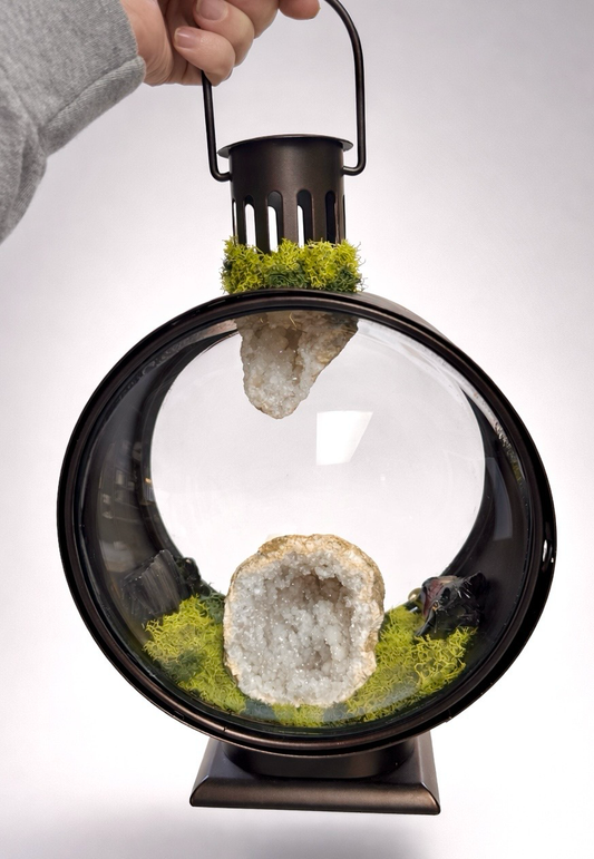 The Enchanted Bubble